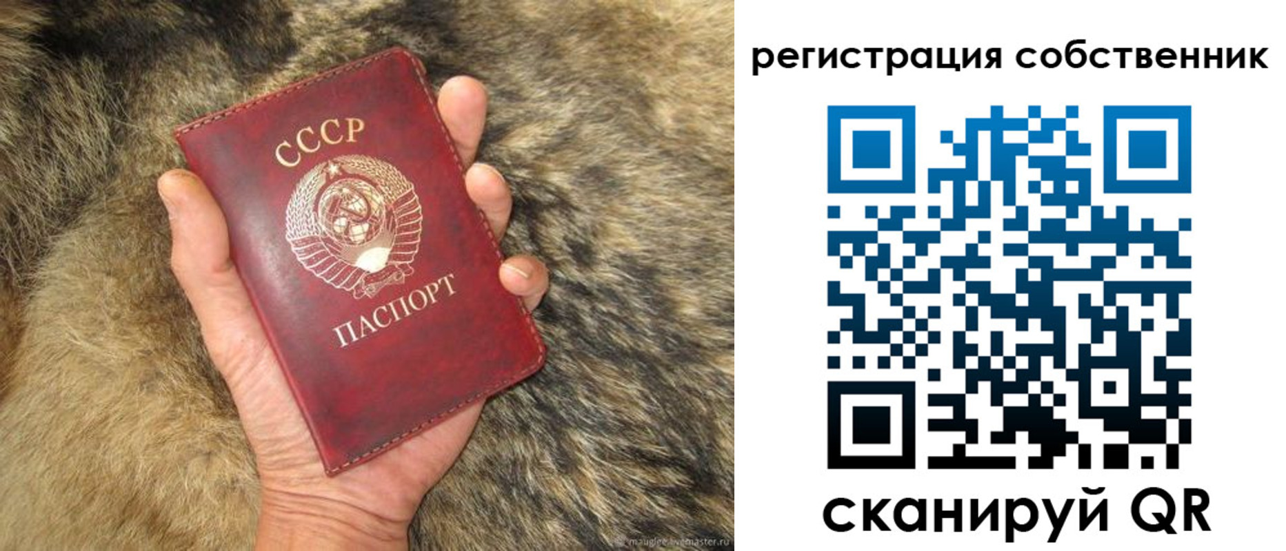 прописка 2025 в Нальчике